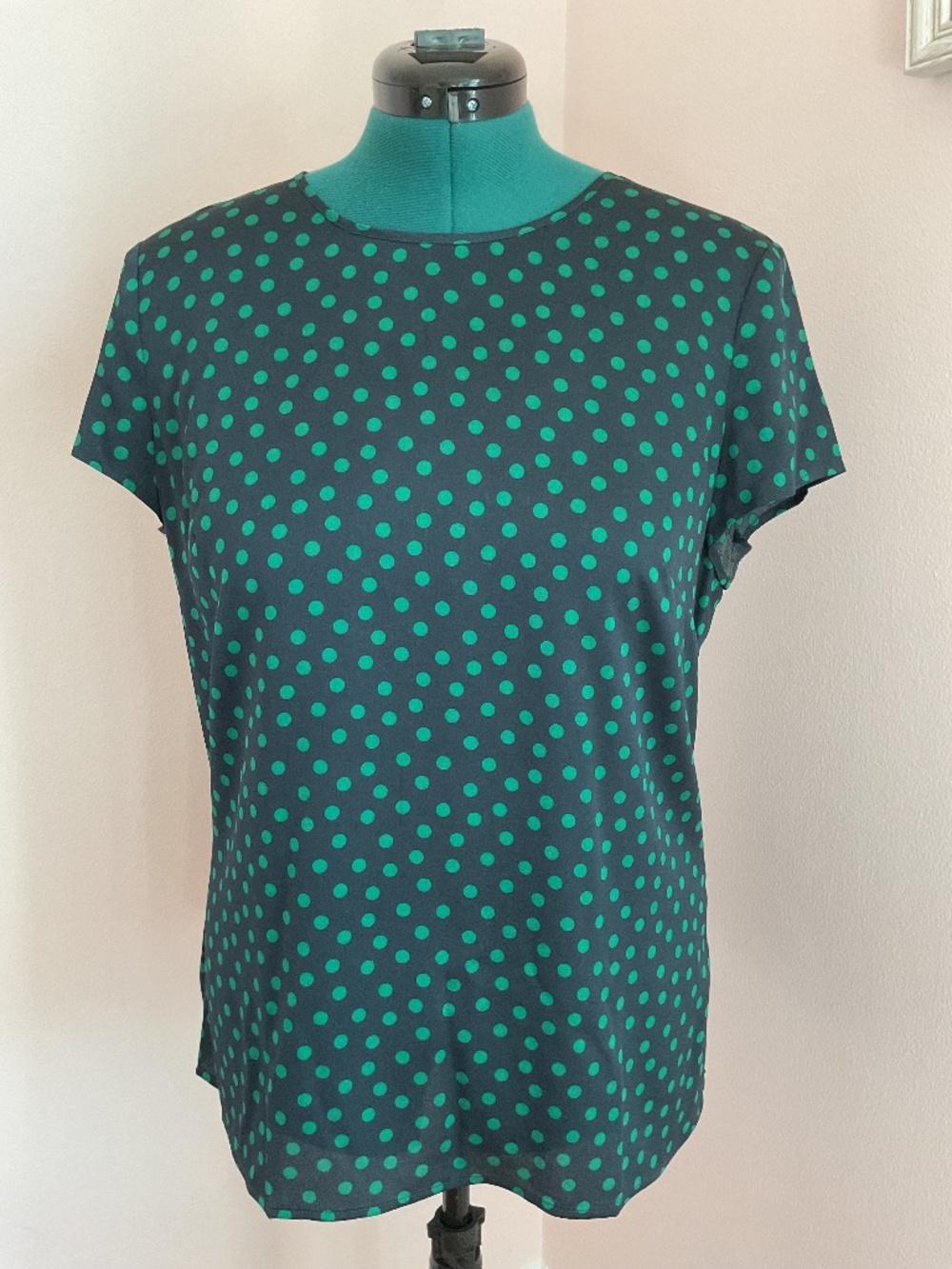 NWOT Ann Taylor Polka Dot Shortsleeve Blouse